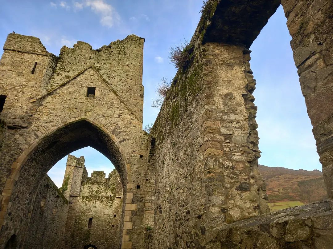Guided Tours of Carlingford Town